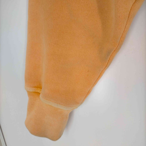 ステューシー Stussy RASTA LION ZIP HOODIE PIGMENT DYED メンズ import:S