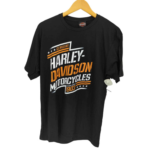 ハーレーダビッドソン HARLEY-DAVIDSON 両面プリントTシャツ コピーライト2022 メンズ JPN:L