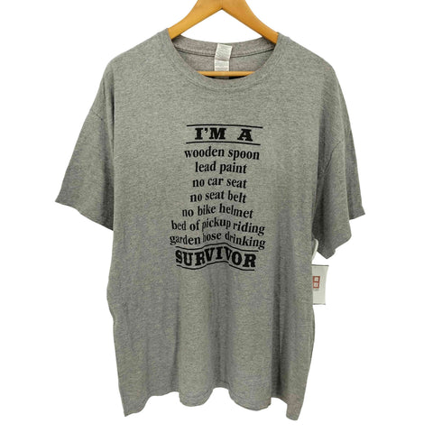 ギルダン GILDAN レタープリント S/S Tシャツ メンズ import:XL