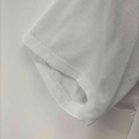 ザノースフェイス THE NORTH FACE S/S BIG LOGO TEE レディース import:M