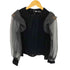 ザラ ZARA ベロア フリル シアー パフスリーブブラウス レディース import:M