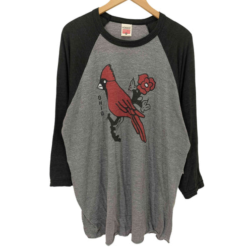 HOMAGE USA製 OHIO バード アニマル プリント ラグラン Tシャツ メンズ import:XXL