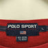 ポロスポーツラルフローレン POLO SPORT RALPH LAUREN 90S 星条旗 ロゴ 刺繍 プルオーバー スウェット トレーナー メンズ import:L