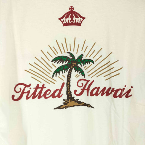 FITTED バックプリントTシャツ MADE IN USA メンズ L