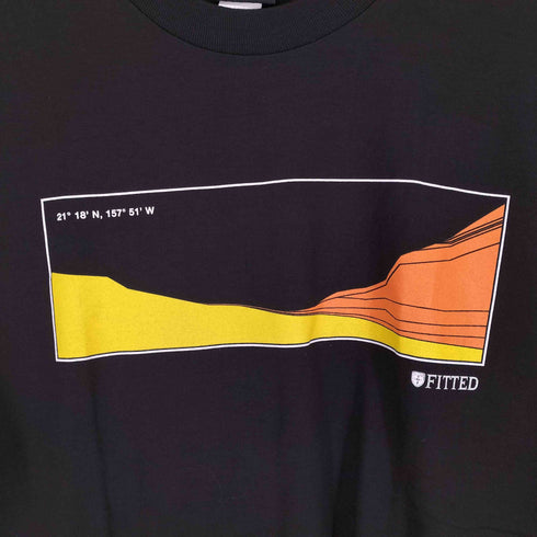 FITTED USA製 ALOHA SERVED DAILY S/S TEE メンズ JPN:L
