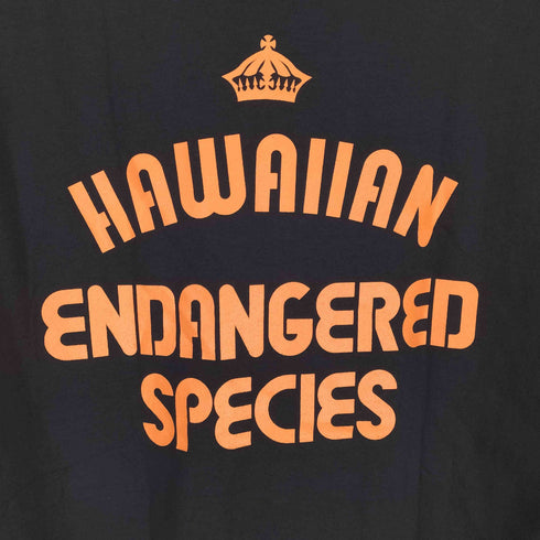 FITTED USA製 ALOHA SERVED DAILY S/S TEE メンズ JPN:L