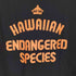 FITTED USA製 ALOHA SERVED DAILY S/S TEE メンズ JPN:L