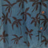 トゥーパームス TWO PALMS CROP SHIRTS クロップ アロハシャツ レディース FREE