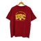 CHAMPS カレッジロゴTシャツ メンズ import:M