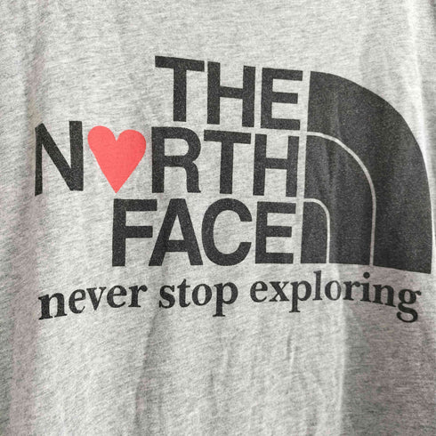 ザノースフェイス THE NORTH FACE Graphic Tee グラフィック 半袖 Tシャツ メンズ import:L