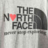 ザノースフェイス THE NORTH FACE Graphic Tee グラフィック 半袖 Tシャツ メンズ import:L