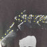 INDUSTRY RAG 1991コピーライト リメイク バンドTシャツ レディース