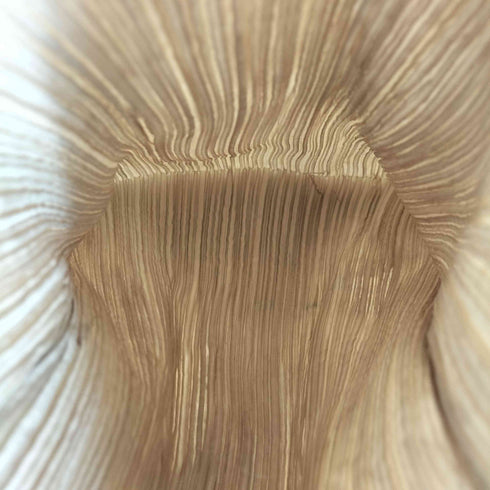 プリーツプリーズイッセイミヤケ PLEATS PLEASE ISSEY MIYAKE プリーツ ナップザック レディース