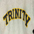 チャンピオン Champion 80-90S USA製 レーヨン混紡 刺繍タグ REVERSE WEAVE リバースウィーブ TRINITY アーチ カレッジロゴ プリント スウェット メンズ import:XL