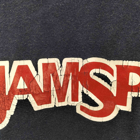 ジャンスポーツ JanSport ロゴプリントTシャツ メンズ JPN:XXL