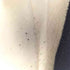 ザラ ZARA スタジアムジャンパー メンズ import:XL