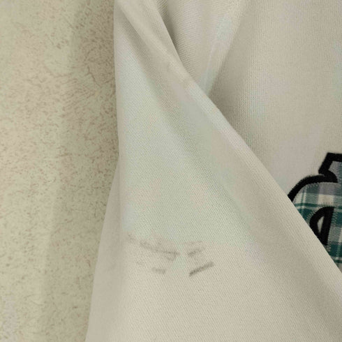 ヘインズ Hanes MADE IN USA ワッペン刺繍ラグランスウェット レディース 2X