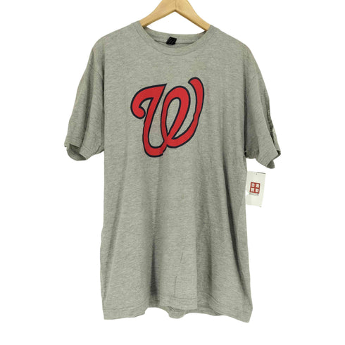 タルテックス TULTEX プリントTシャツ メンズ XL