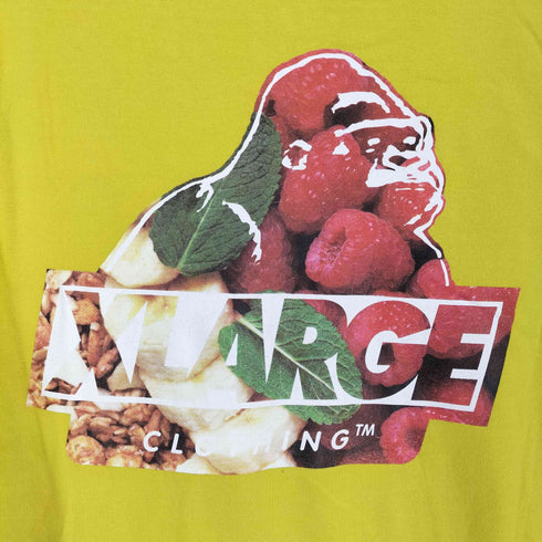 エクストララージ XLARGE 転写プリント長袖カットソー メンズ M