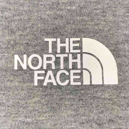 ザノースフェイス THE NORTH FACE ラグラン L/S Tシャツ メンズ import:XL