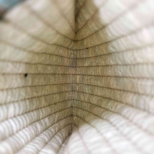 Brigitte Singh ブリジット・シン ブロックプリント キルティング 動物柄 コインケース 小物入れ レディース