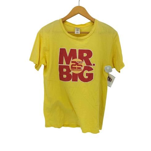 ギルダン GILDAN 25周年 Tシャツ メンズ import:M