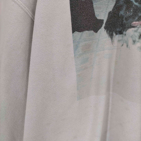 90s USA製 SANTEE By PLUMA フォトプリントスウェット メンズ JPN:XL