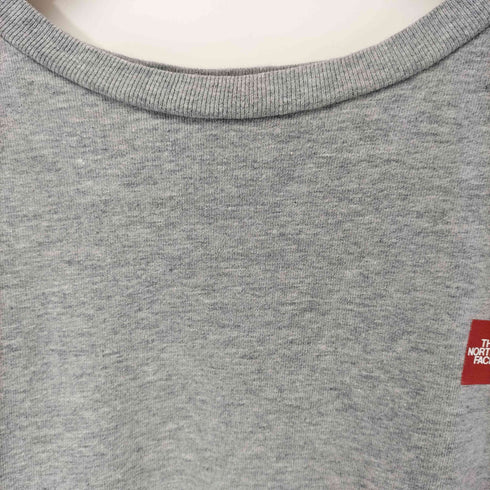 ザノースフェイス THE NORTH FACE スモール ボックスロゴ クルーネック ヘビー Tシャツ メンズ L