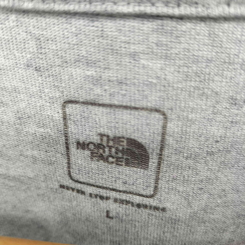 ザノースフェイス THE NORTH FACE スモール ボックスロゴ クルーネック ヘビー Tシャツ メンズ L