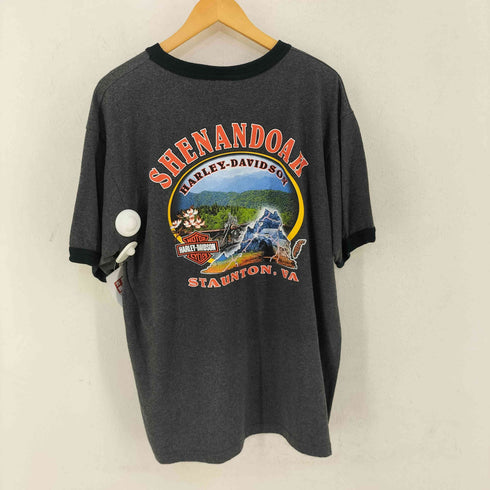 ハーレーダビッドソン HARLEY-DAVIDSON USA製 SHENANDOAH リンガーTシャツ メンズ import:XL