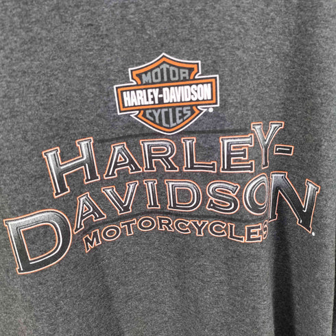 ハーレーダビッドソン HARLEY-DAVIDSON USA製 SHENANDOAH リンガーTシャツ メンズ import:XL