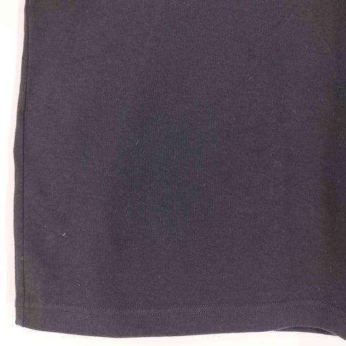 ザノースフェイス THE NORTH FACE Half Dome Logo Tee ロゴ Tシャツ メンズ import:S