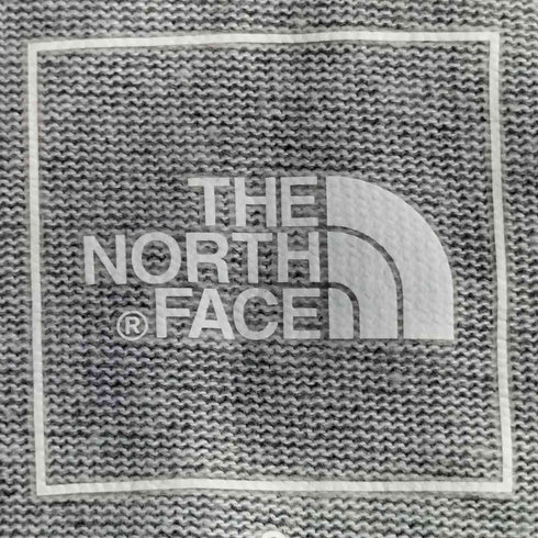 ザノースフェイス THE NORTH FACE ロゴ パッチ プリント ポケット Tシャツ メンズ import:S