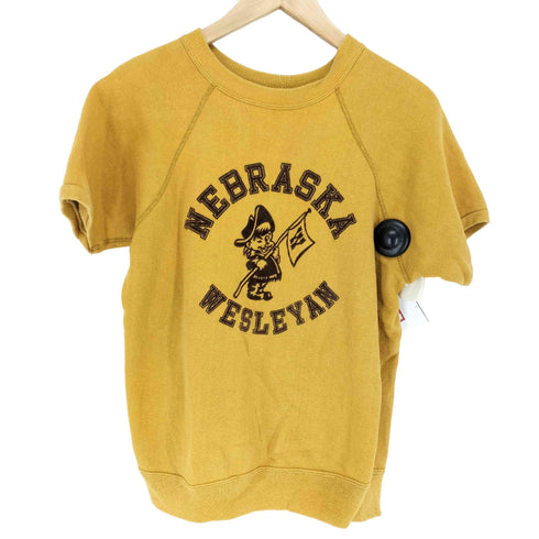 アーテックス ARTEX 70s NEBRASKA WEALEYAN フロッキー三段プリント ラグランS/S スウェット メンズ JPN:M