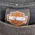 ハーレーダビッドソン HARLEY-DAVIDSON USA製 両面プリントTシャツ メンズ import:L