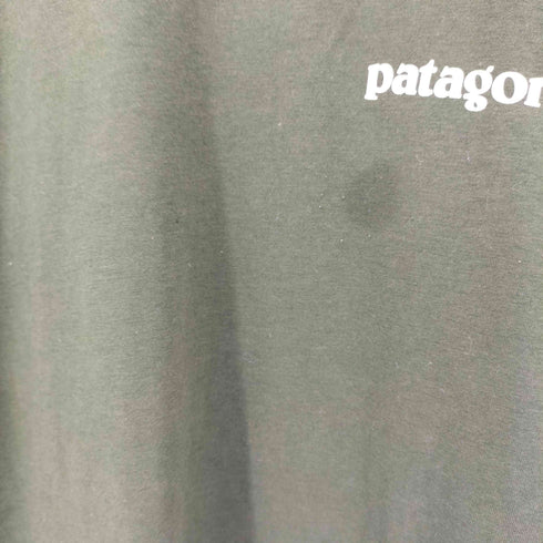 パタゴニア patagonia FLY FISHING 両面プリント L/S Tシャツ メンズ import:S