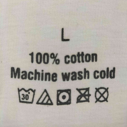 JAPAN Tシャツ メンズ L