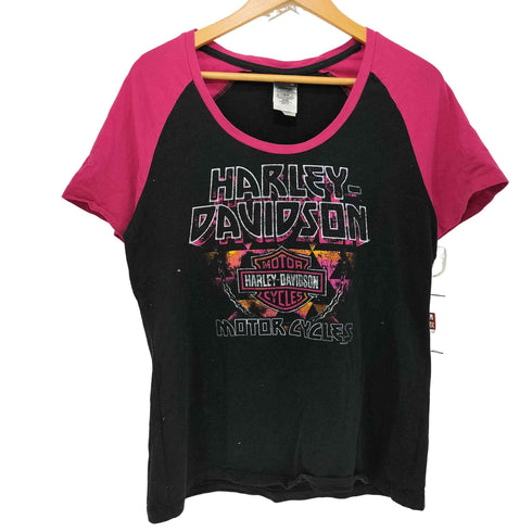 ハーレーダビッドソン HARLEY-DAVIDSON 両面プリントバイカラーS/STEE メンズ XL