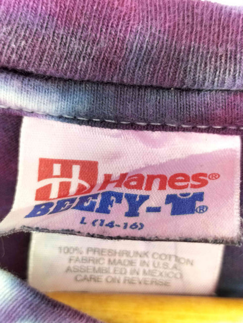 ヘインズ Hanes USA製 BEEFY-T タイダイTシャツ メンズ import:L