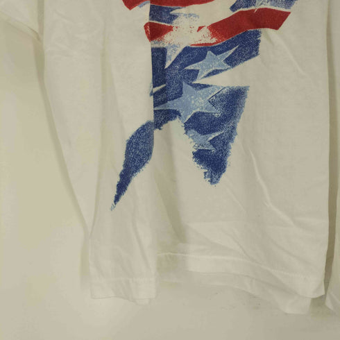 アディダスオリジナルス adidas Originals USA製 万国旗タグ シングルステッチプリントTシャツ メンズ import:M