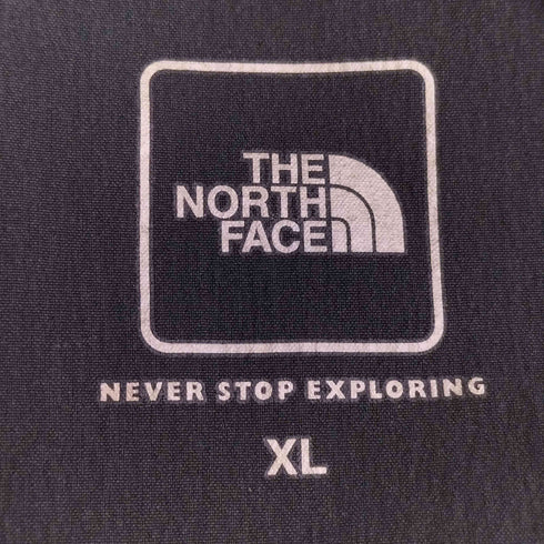 ザノースフェイス THE NORTH FACE FLEXIBLE ANKLE PANT メンズ import:XL