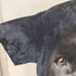 ザマウンテン the mountain メキシコ製 犬 アニマル プリント クルーネック S/S Tシャツ コピーライト 2011年製 メンズ import:M