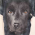 ザマウンテン the mountain メキシコ製 犬 アニマル プリント クルーネック S/S Tシャツ コピーライト 2011年製 メンズ import:M