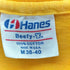 ヘインズ Hanes USA製 シングルステッチ両面プリントTシャツ メンズ import:M