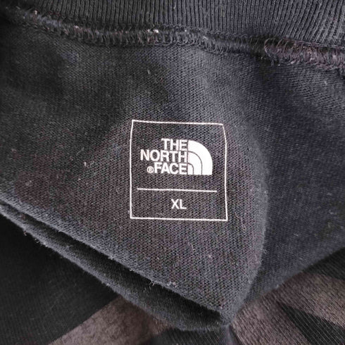 ザノースフェイス THE NORTH FACE TNF LOGO TEE ロゴ Tシャツ メンズ import:XL