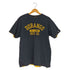 チャンピオン Champion DURANGO プリント ダブルフェイス Tシャツ メンズ import:XL