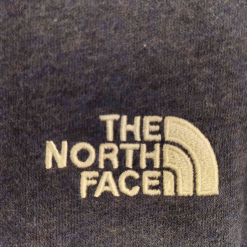 ザノースフェイス THE NORTH FACE ハーフボタン プルオーバーパーカー メンズ import:L