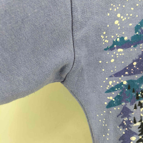 Lifestyles ライフスタイルズ 90S USA製 スノー 雪 発砲プリント スウエット メンズ ONE SIZE