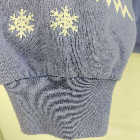 Lifestyles ライフスタイルズ 90S USA製 スノー 雪 発砲プリント スウエット メンズ ONE SIZE