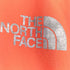 ザノースフェイス THE NORTH FACE スワローテイルベントフーディ メンズ import:L